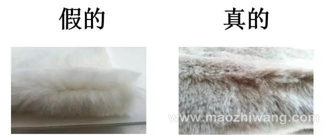 1575076803977294.jpg 微信图片_20191130090711.jpg